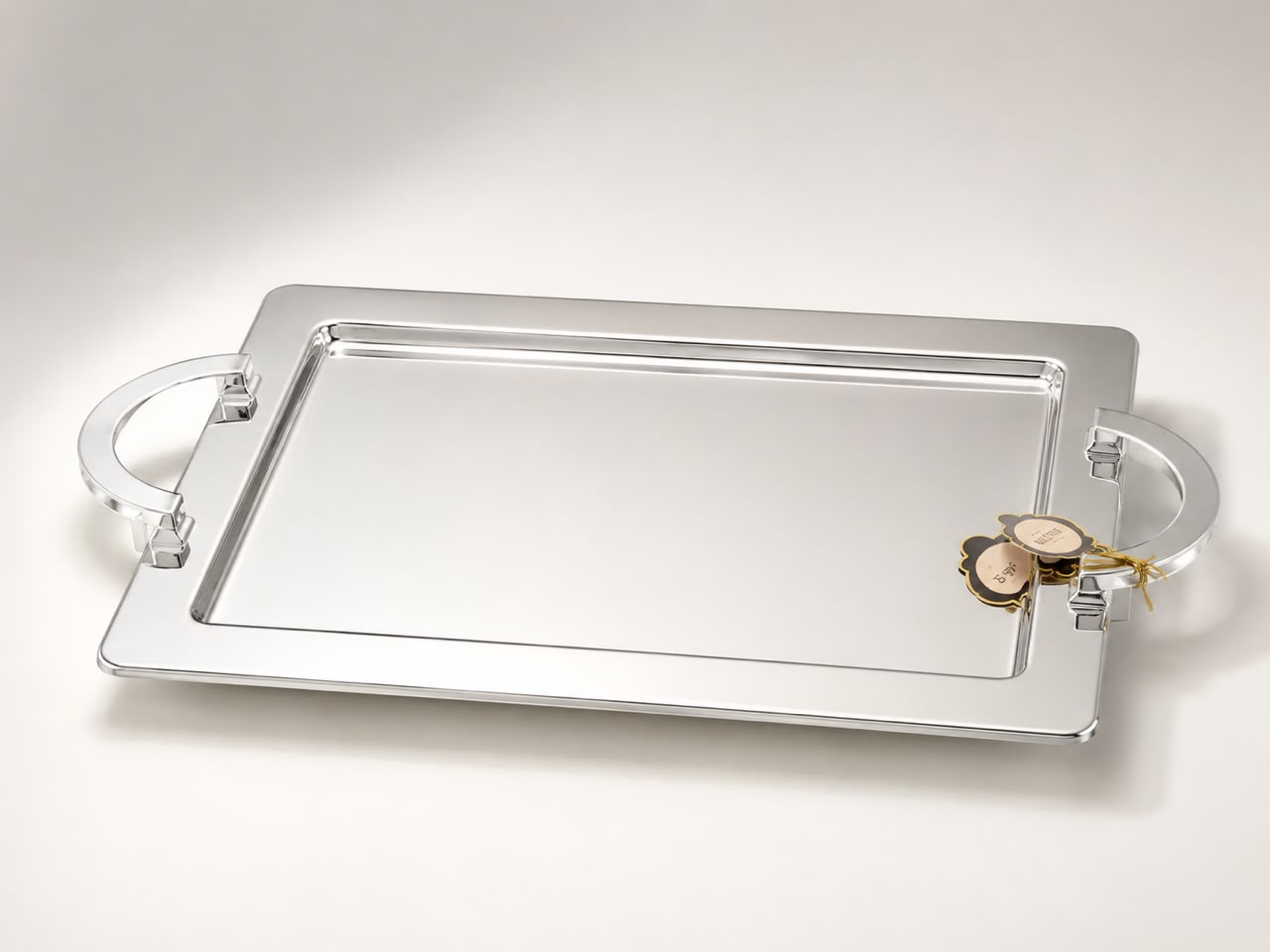 Elegant Stainless-Steel Tray