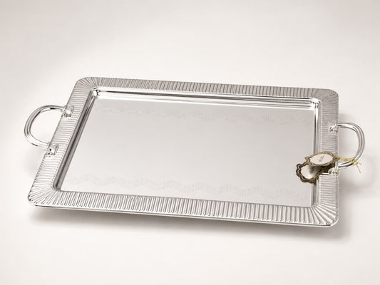 Elegant Stainless-Steel Tray